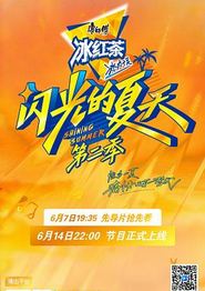 闪光的夏天第二季