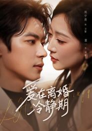 爱在离婚冷静期