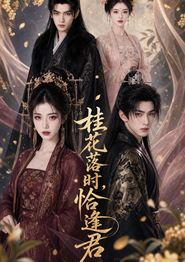 桂花落时，恰逢君