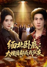 缅北卧底：大嫂团都成我队友