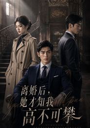 离婚后，她才知我高不可攀