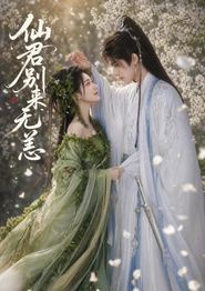 仙君别来无恙