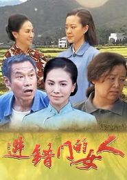 进错门的女人