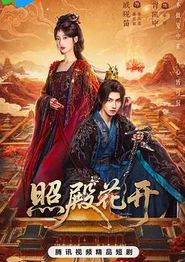 照殿花开