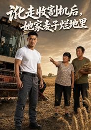 讹走收割机后，她家麦子烂地里