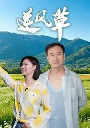 逆风草