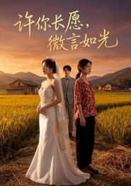 许你长愿，微言如光
