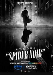 暗影蜘蛛侠第一季