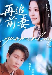 再追前妻