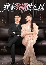我家赘婿世无双