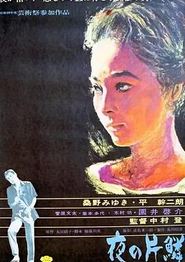 夜之片鳞