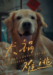 犬祸难逃
