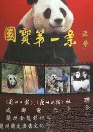 国宝第一案