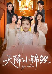 天降小锦鲤