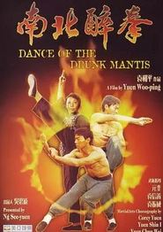 南北醉拳