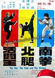 南拳北腿活阎王