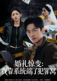 婚礼惊变：我靠系统端了犯罪窝