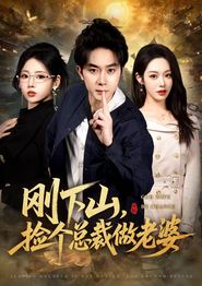 刚下山捡个总裁做老婆