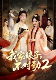 我家娘子，不对劲2