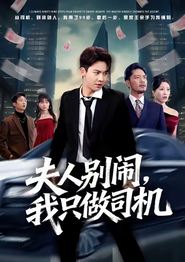 夫人别闹我只做司机