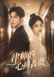 律师的心间蔷薇