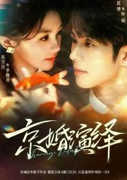 京婚演绎