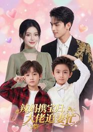 辣妈携宝归，大佬追妻忙