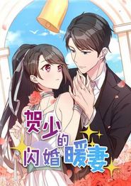 贺少的闪婚暖妻