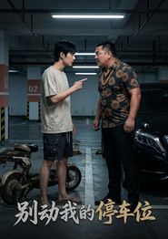 别动我的停车位