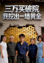 三万买破院，我挖出一墙黄金