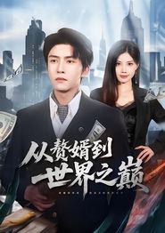 从赘婿到世界之巅