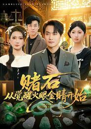 赌石从觉醒火眼金睛开始
