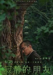 寂静的朋友