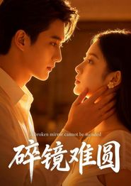 碎镜难圆
