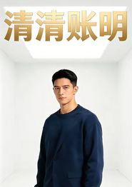 清清账明