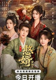 贤婿之憨婿
