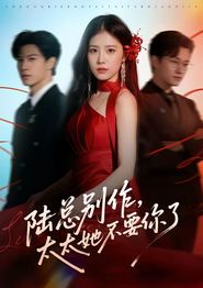 陆总别作，太太她不要你了