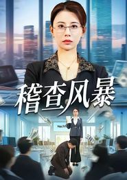稽查风暴