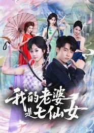 我的老婆是七仙女