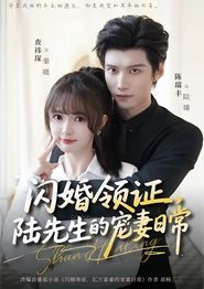 闪婚领证，陆先生的宠妻日常