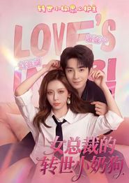 女总裁的转世小奶狗