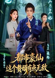 都市豪仙，这个赘婿有点无敌