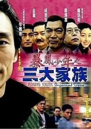 暴风少年之三大家族