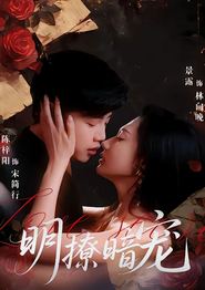 明撩暗宠