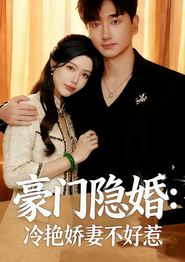 豪门隐婚：冷艳娇妻不好惹