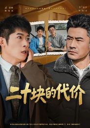 二十块的代价