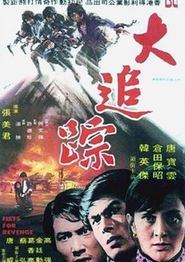 大追踪
