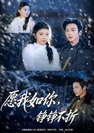 愿我如你，铮铮不折