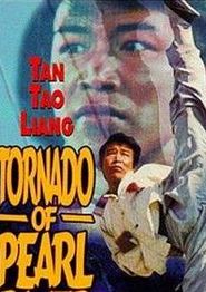 珠江大风暴