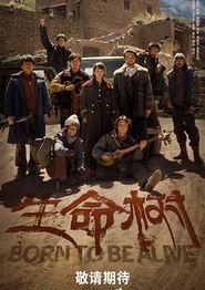 生命树